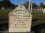 newcastle-anglo-boer-war-5882-pte-c-barham-east-surrey-regt-1901