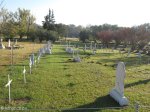 newcastle-anglo-boer-war-general-view