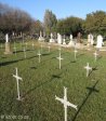 newcastle-anglo-boer-war-general-views-3