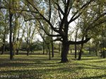 newcastle-cemetary-general-views-1