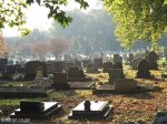 newcastle-cemetary-general-views-2