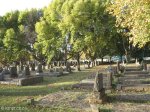 newcastle-cemetary-general-views-3