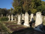 newcastle-cemetary-general-views-6