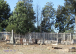 Nkandla Cemetery -  Military Graves - Collective view (6)