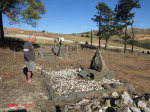 Nkandla Cemetery - Grave - Albert John Netter - 1947 - Mining Engineer (1)