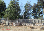 Nkandla Cemetery -  Military Graves - Collective view (6)