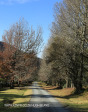 Fort Nottingham Main Street (2.) (2)