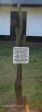Fort Nottingham Museum 1856 post tree