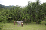 Fort Nottingham Nature Reserve picnic spot
