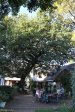 Nottingham Road - Rawdons Hotel - Beer garden (2)