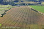Fort Nottingham area crops (6)