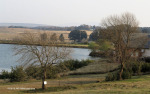 Gowrie Farm (4)