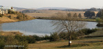 Gowrie Farm (5)