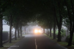 Gowrie-Village-Gowrie-avenue-1