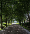 Gowrie-avenue-1