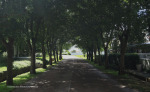 Gowrie-avenue-2