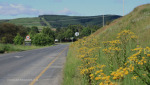 Nottingham-road-entrance-from-N3-2