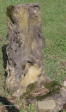 Nottingham Road St Johns grave Marion Notman