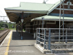 Bellair Railway Station - Sarnia Road - S 29.53.21 E 30.57.14 Elev 69m (18)