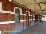 Bellair Railway Station - Sarnia Road - S 29.53.21 E 30.57.14 Elev 69m (26)