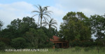 Camperdown - Railway house (1)