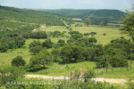DBN - PMB - Mpushini Viaduct (9)
