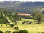 DBN - PMB - Mpushini Viaduct neighboring farm (3).
