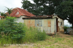 Mpushini - Thornybush old Station - Old Line - 29.42.41 S 30.28.24 E  (10)