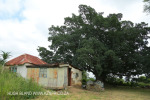 Mpushini - Thornybush old Station - Old Line - 29.42.41 S 30.28.24 E  (11)