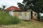 Mpushini - Thornybush old Station - Old Line - 29.42.41 S 30.28.24 E  (12)