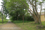 Mpushini - Thornybush old Station - Old Line - 29.42.41 S 30.28.24 E  (14)