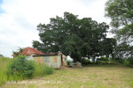 Mpushini - Thornybush old Station - Old Line - 29.42.41 S 30.28.24 E  (9)