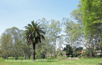 PMB - Pentrich Station -  Fillian Park - S 29.38.09 E 30.22.19 - Elev 660m (14)