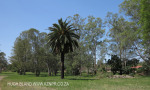 PMB - Pentrich Station -  Fillian Park - S 29.38.09 E 30.22.19 - Elev 660m (15)