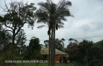 Umlaas Road - Railway Houses - Extension - Kaiter Road -  (2)