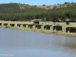 Lake Eland Camping dam (1)