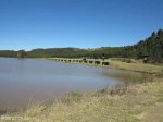 Lake Eland Camping dam (2)