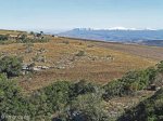 Lake Eland Gorge views (11)