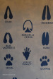 Lake Eland Reserve information boards  footprint chart