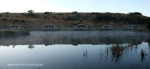 Lake Eland Reserve lakeside cottages .(16)