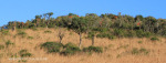 Lake Eland Reserve landscapes (1)