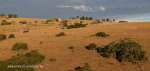 Lake Eland Reserve landscapes (3)