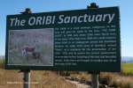 Lake Eland Reserve oribi sanctuary story board (1)