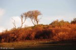 Lake Eland Sunset (1)