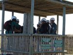 Lake Eland - Zip Line (10)