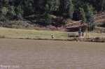 Lake Eland - Zip Line (21)