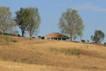 Ottos Bluff - Ukhutula - Main Farm House (6)