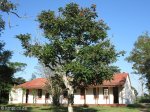 paddock-church-hall-s30-45-46-e-30-14-3
