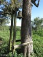 paddock-elim-mission-church-3-km-off-n2-on-gravel-s-30-49-14-e-30-14-16-elev-468m-5