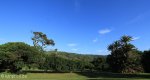 Botha House -  Garden tree & outlook (1)